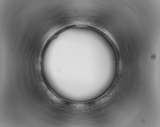 X0000090710791200708171905