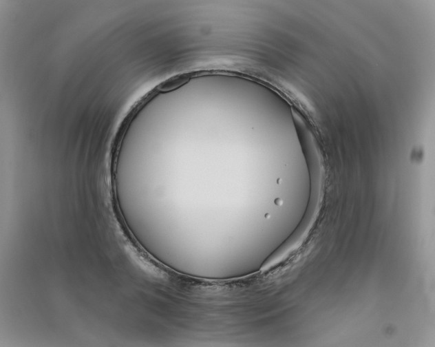 X0000090710792200708171905