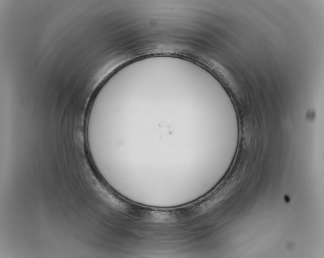 X0000090710794200708171905