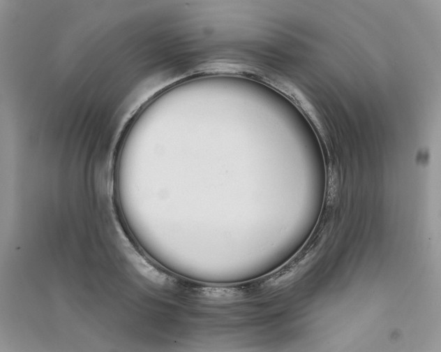 X0000090710795200708171905