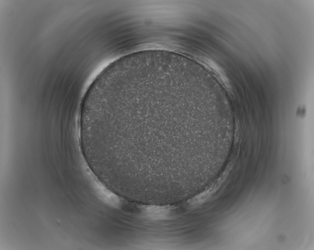 X0000090710796200708171905