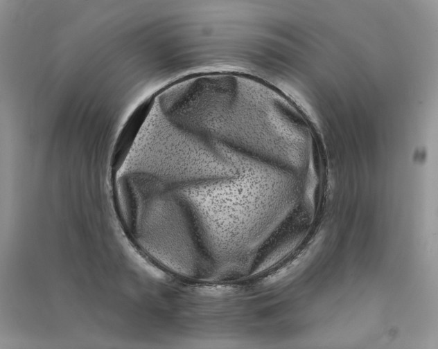 X0000090710797200708171905