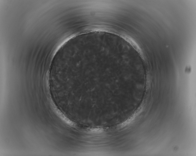 X0000090710798200708171905