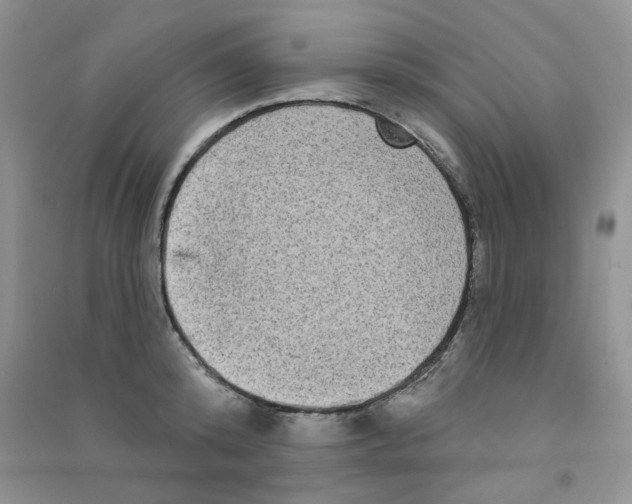 X0000090710800200708171905