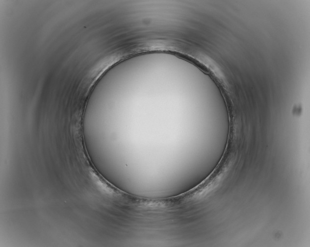 X0000090710801200708171905