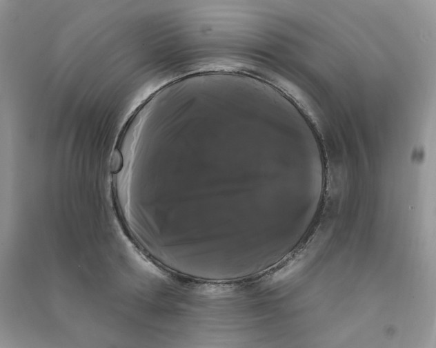 X0000090710802200708171905