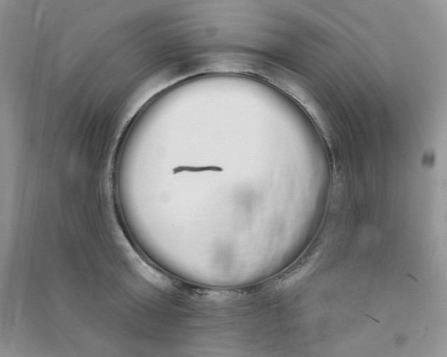 X0000090710803200708171905