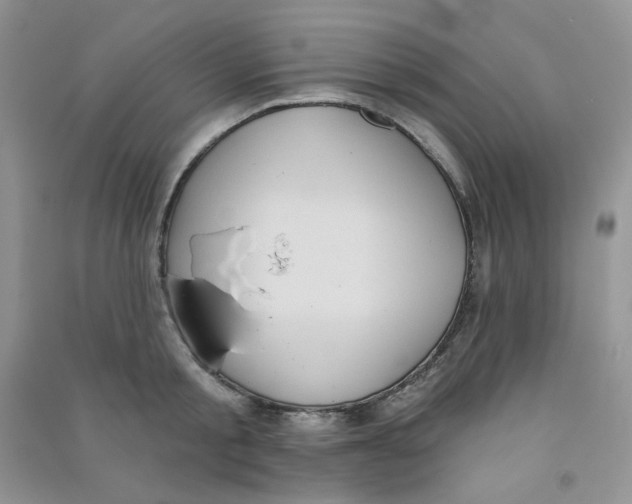 X0000090710805200708171905