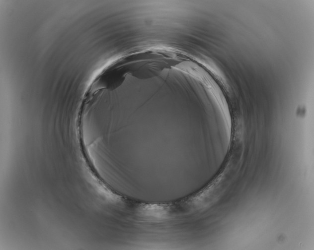 X0000090710806200708171905