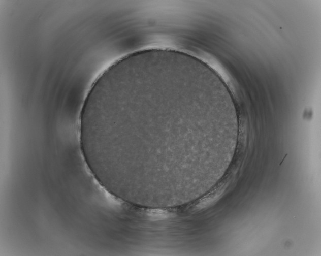 X0000090710807200708171905