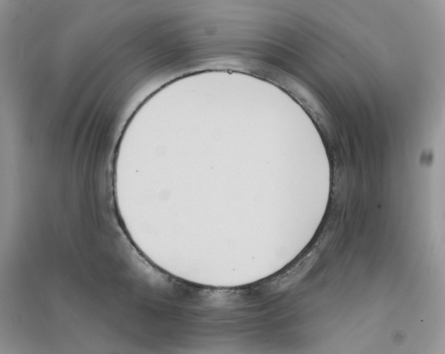 X0000090710808200708171905