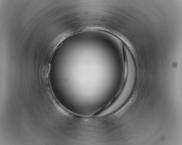 X0000090710809200708171905