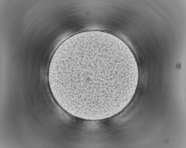 X0000090710810200708171905