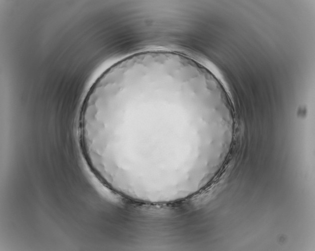 X0000090710811200708171905