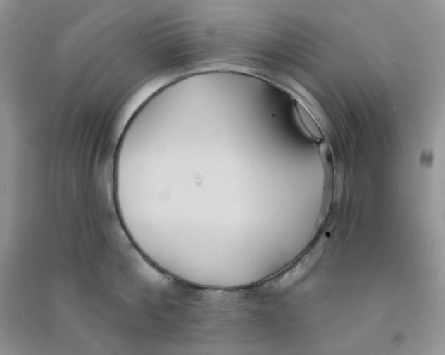 X0000090710812200708171905