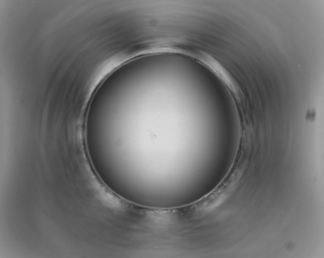 X0000090710813200708171905