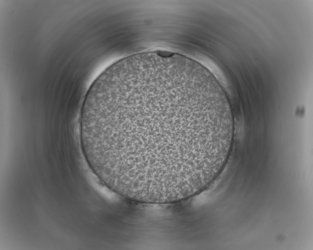 X0000090710814200708171905