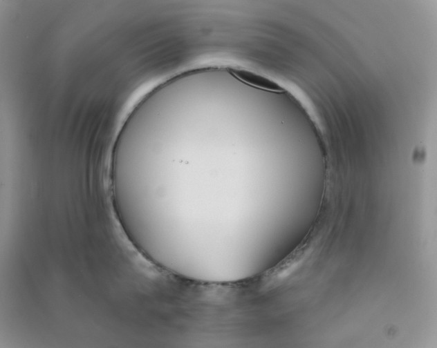 X0000090710815200708171905