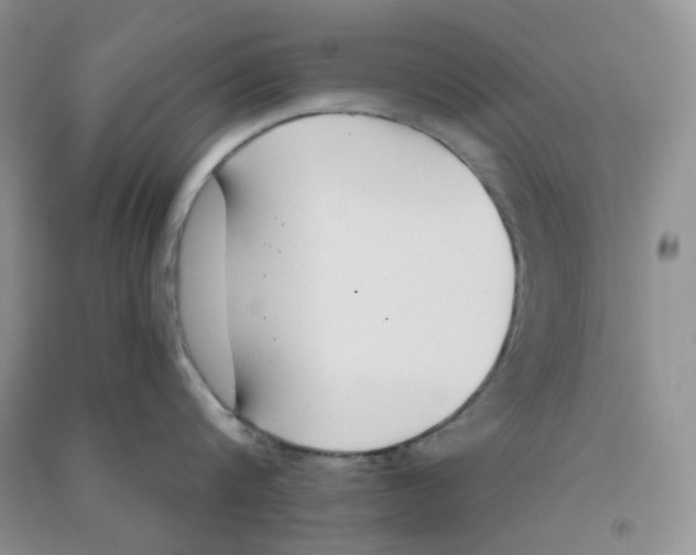 X0000090710816200708171905