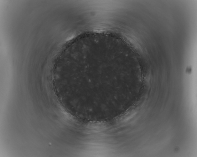 X0000090710817200708171904