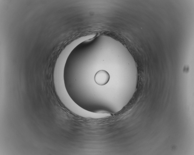 X0000090710818200708171904