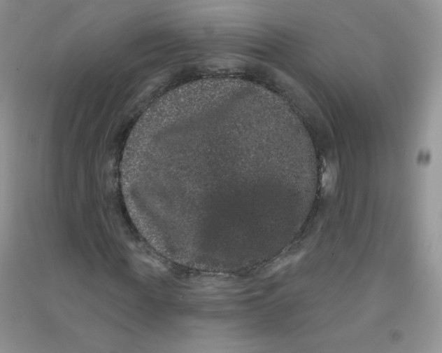 X0000090710819200708171904