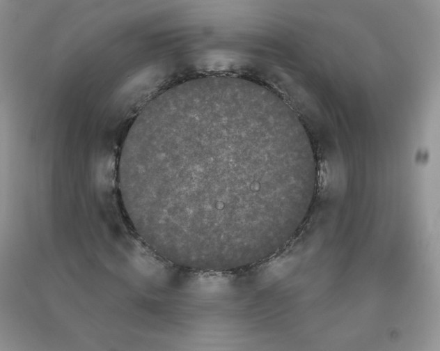 X0000090710820200708171904