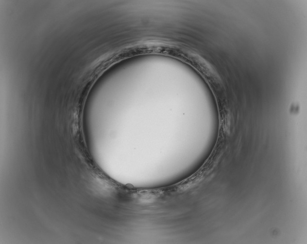 X0000090710821200708171904