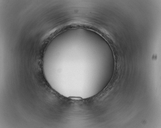 X0000090710822200708171904