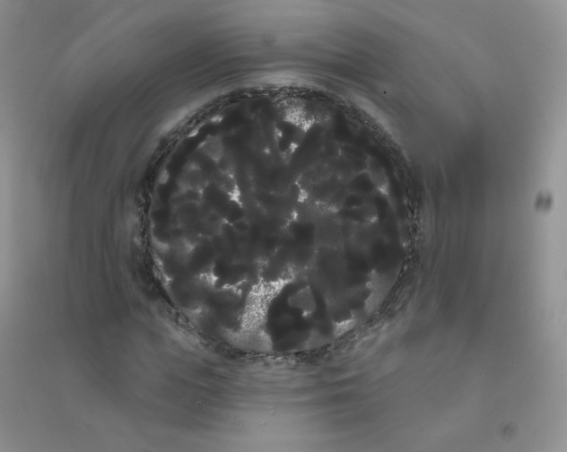 X0000090710823200708171904