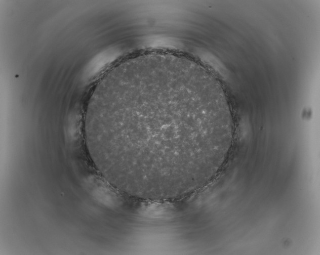 X0000090710824200708171904