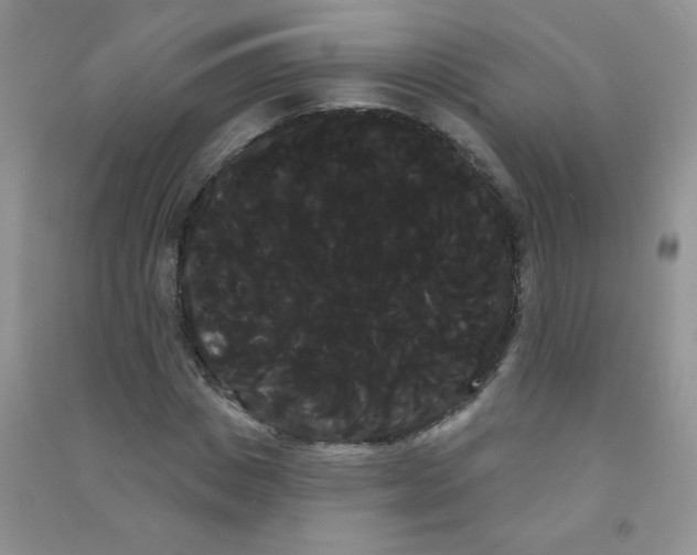 X0000090710825200708171905