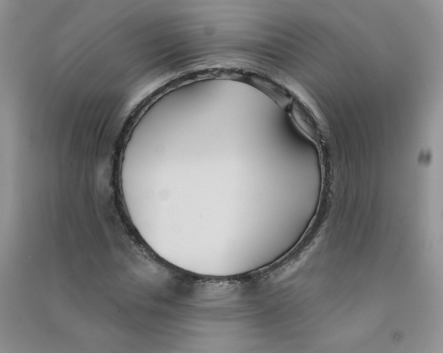 X0000090710826200708171905