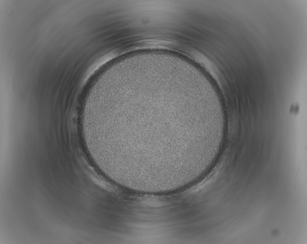 X0000090710827200708171905