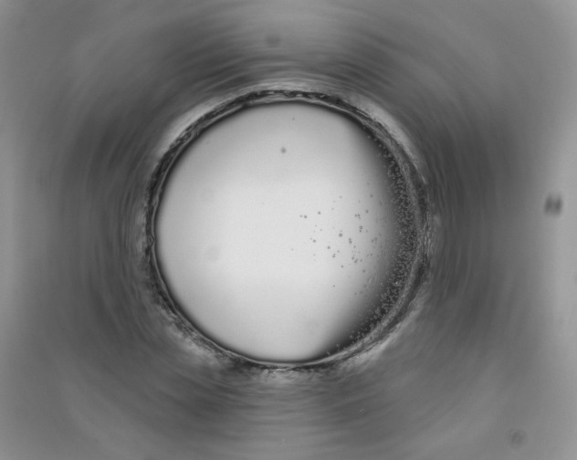 X0000090710829200708171905