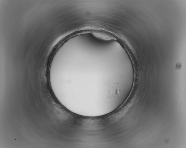 X0000090710830200708171905