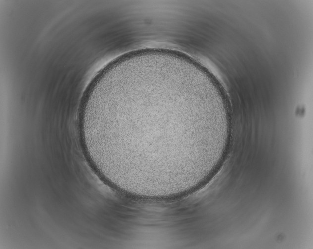 X0000090710831200708171905