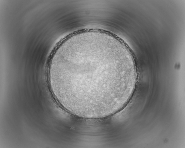 X0000090710832200708171905