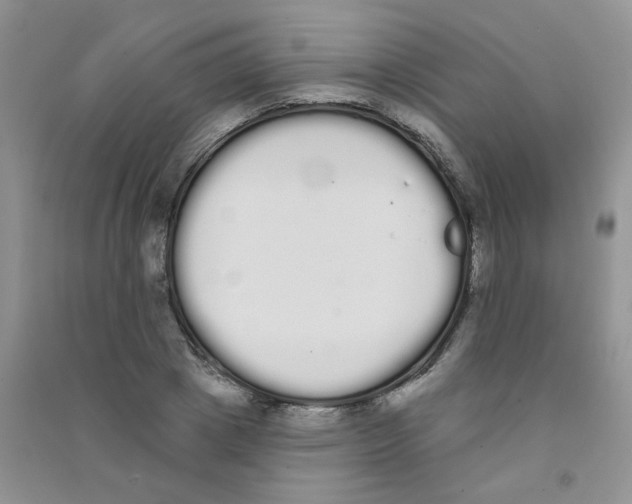 X0000090710833200708171905