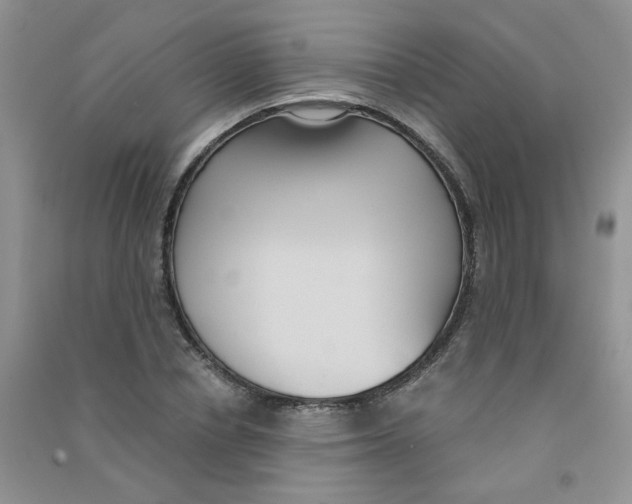 X0000090710834200708171905