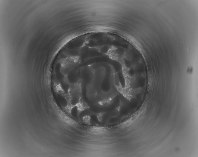 X0000090710835200708171905