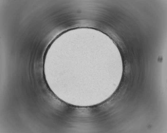 X0000090710836200708171905