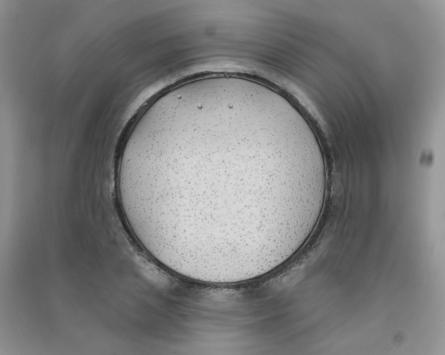 X0000090710837200708171905