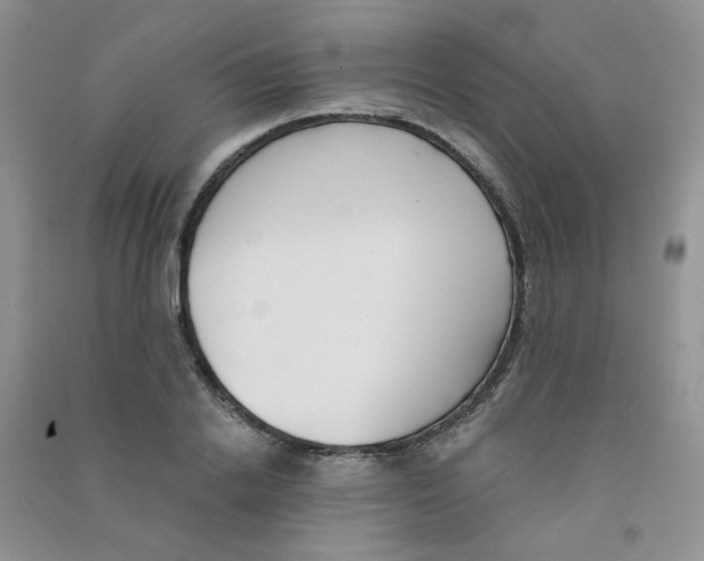 X0000090710838200708171905