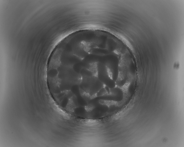 X0000090710839200708171905