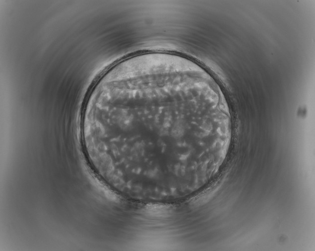 X0000090710840200708171905