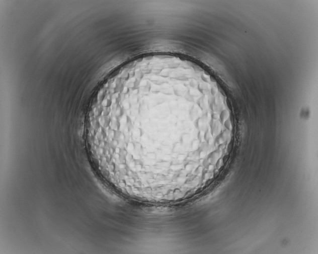 X0000090710841200708171905