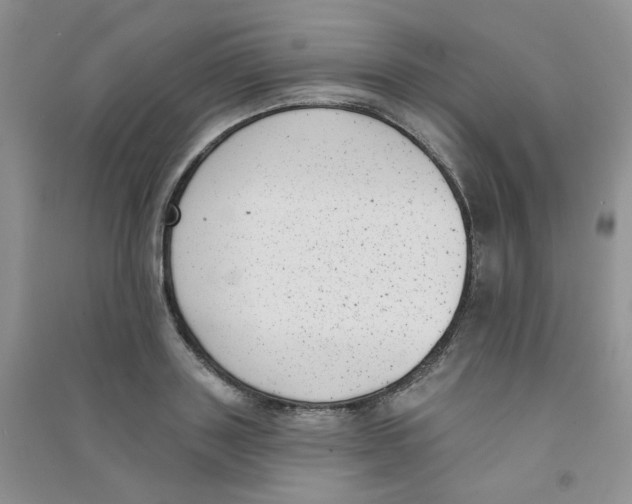 X0000090710843200708171905