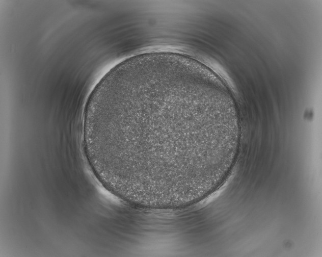 X0000090710844200708171905