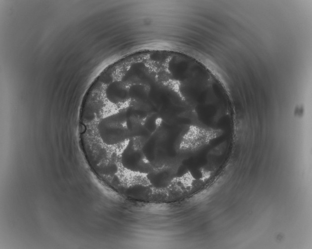 X0000090710845200708171905